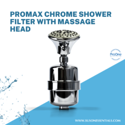 ProMax Chrome Shower Filter with massage head
