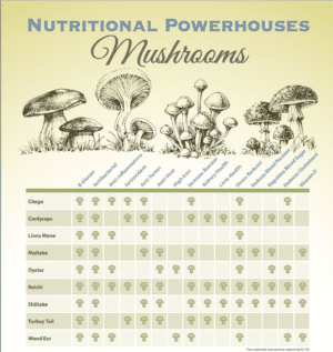 Mushrooms for Less Stress