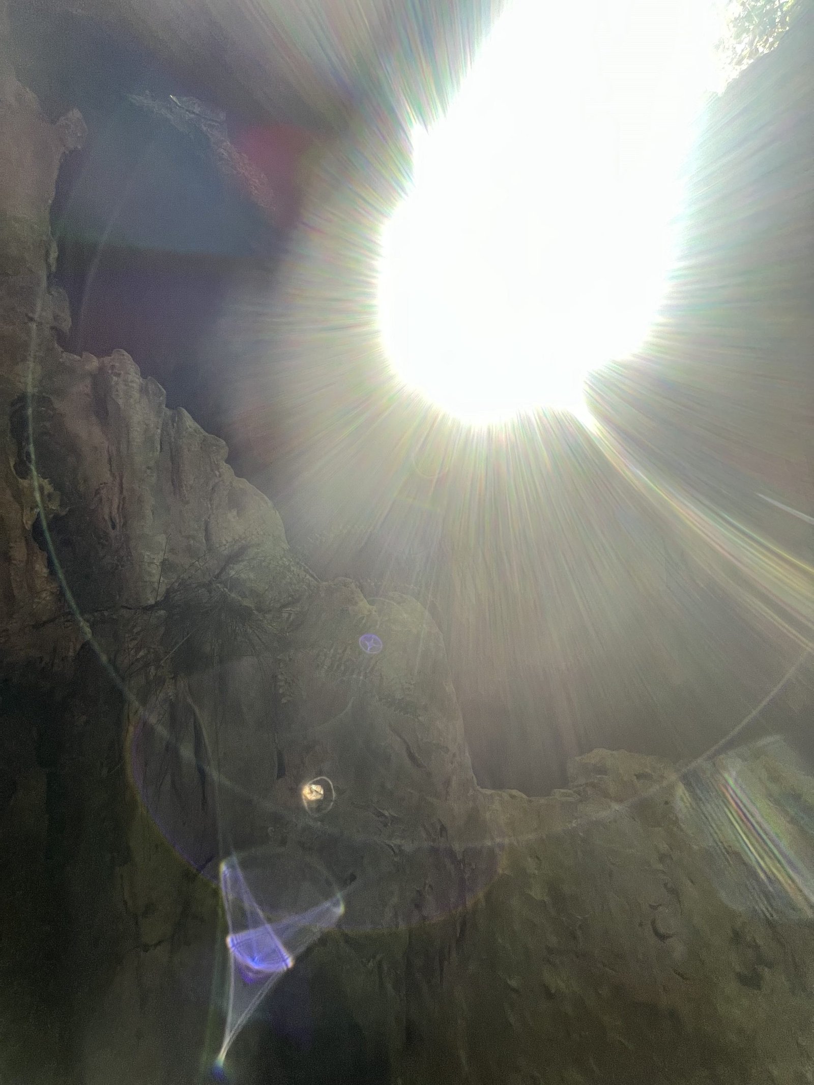 Cayman Islands, Spiritual Vortex close up by Rev. Jodi Suson