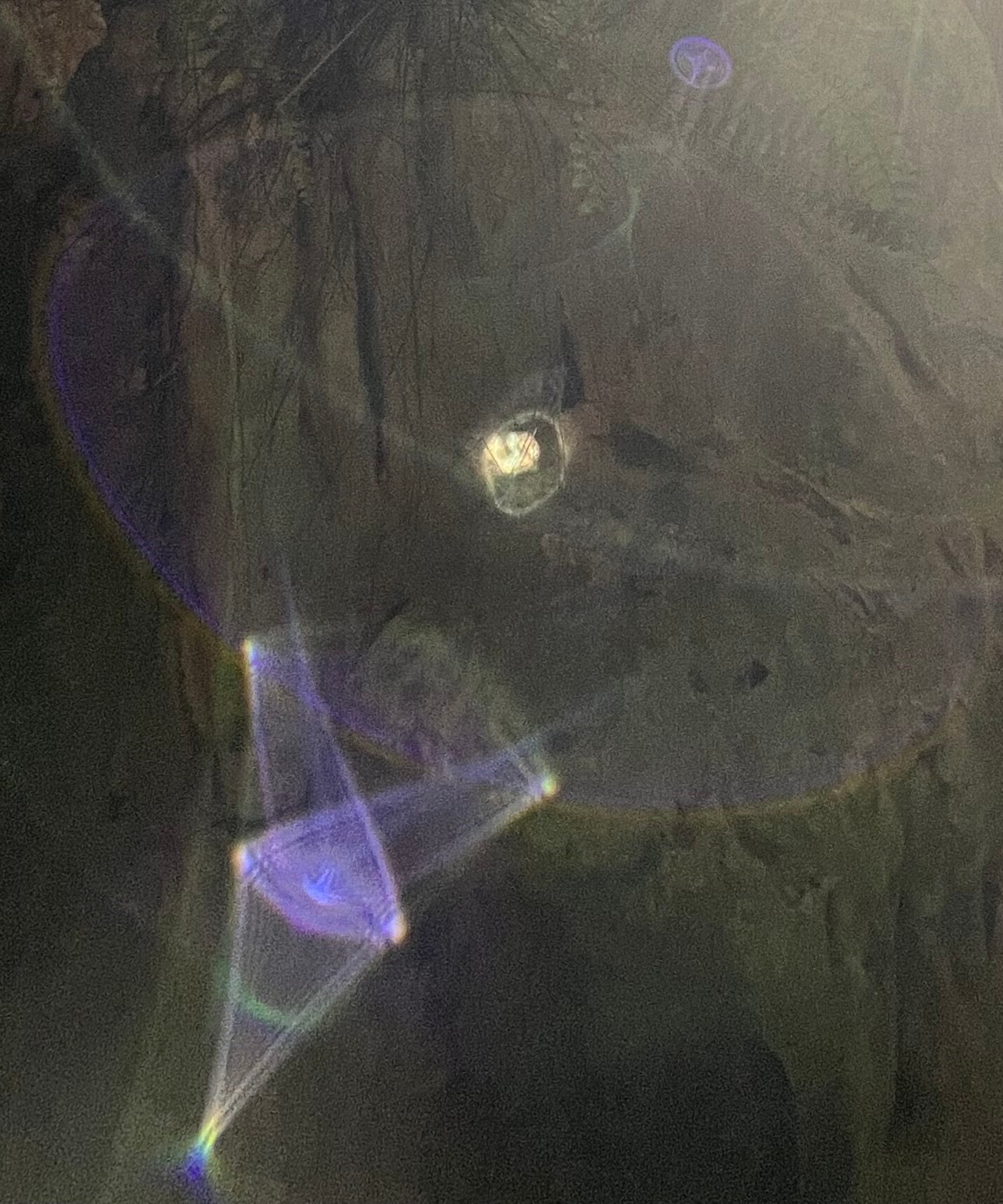 Cayman Islands, Spiritual Vortex close up by Rev. Jodi Suson