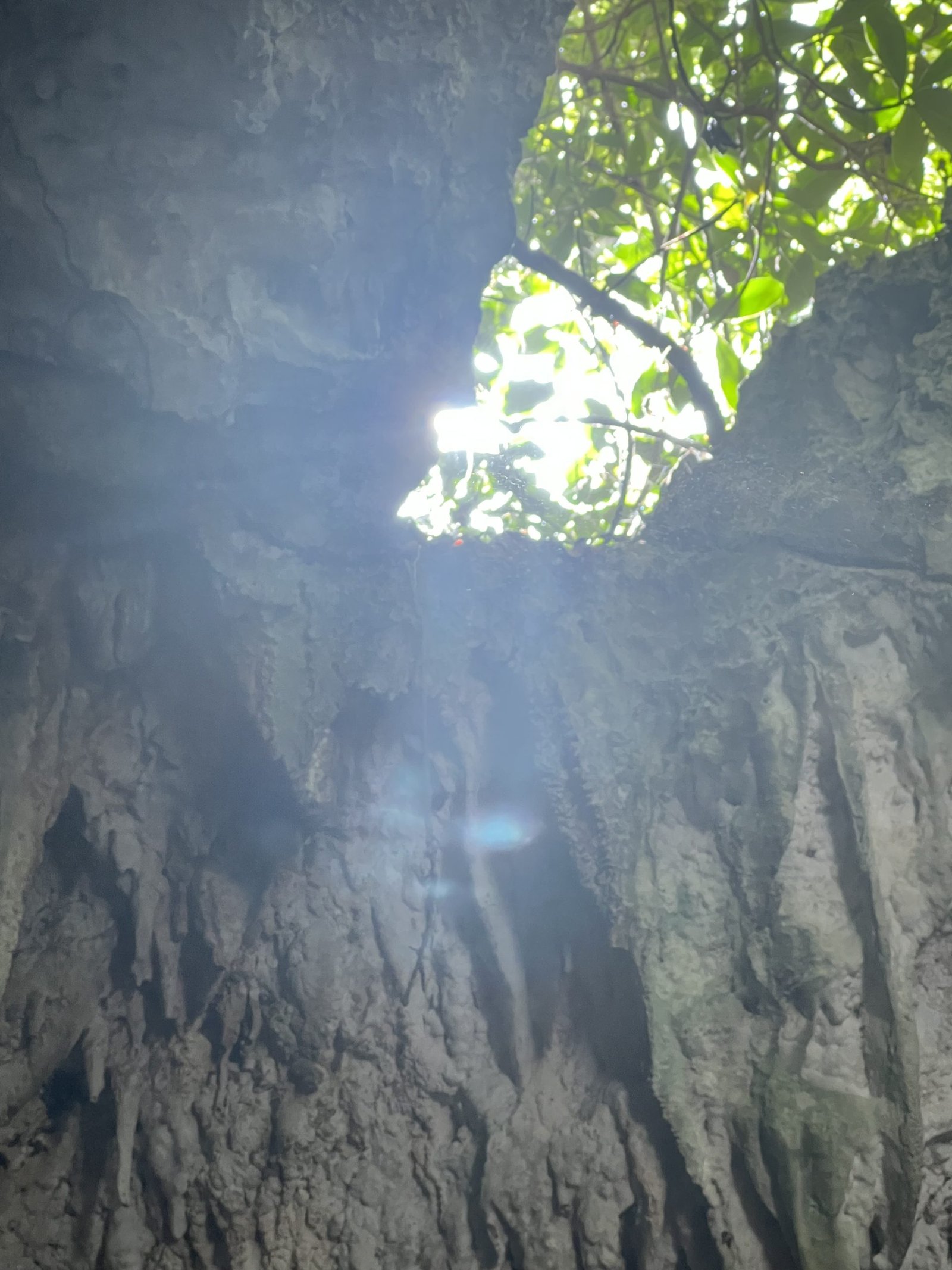 Cayman Islands Rev. Jodi Suson - Spiritual Photography blessed by the divine