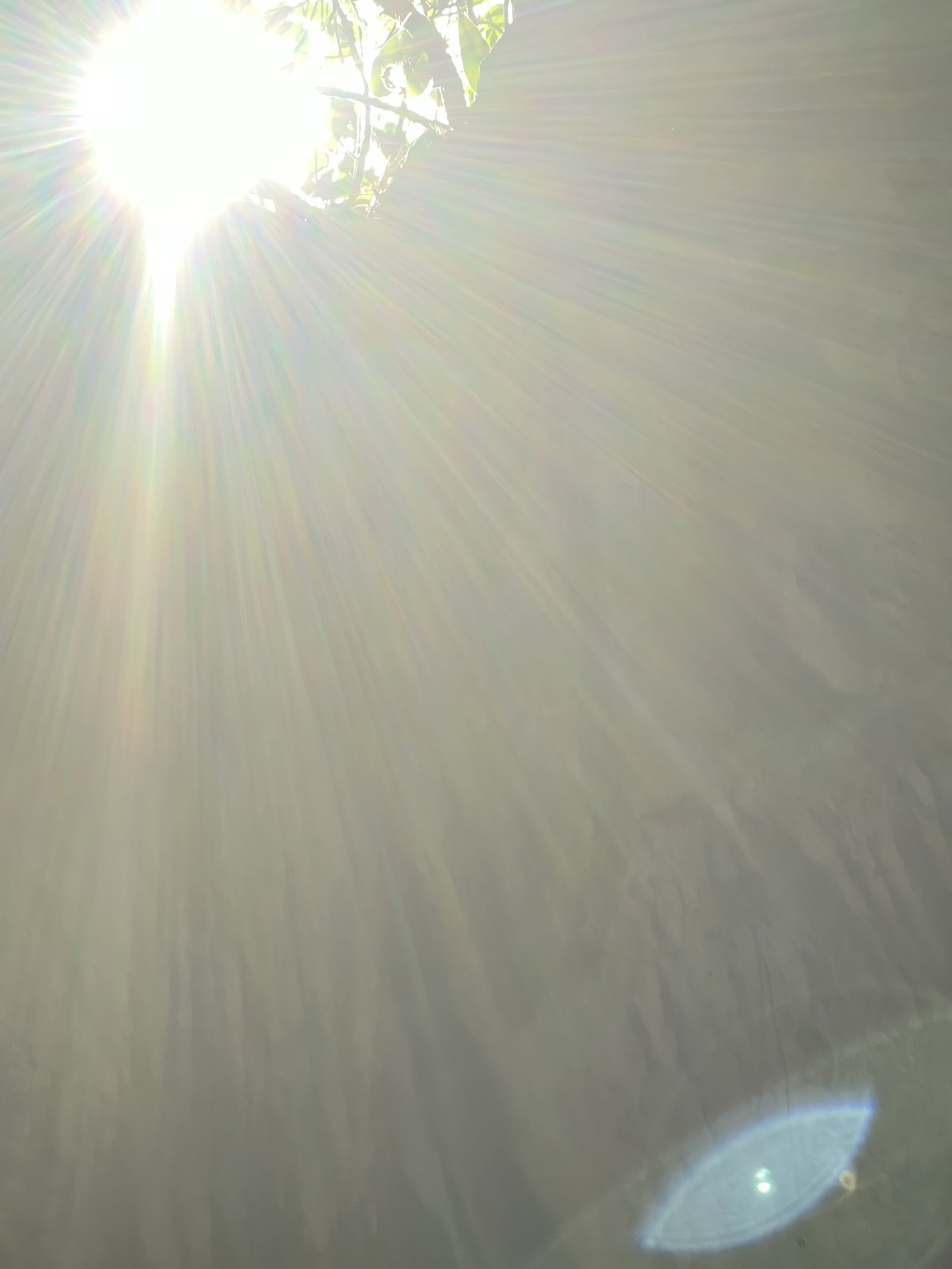 Cayman Islands Rev. Jodi Suson - Spiritual Photography