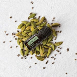 Cardamon Essential Oil