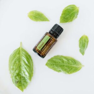 Basil Essential Oil