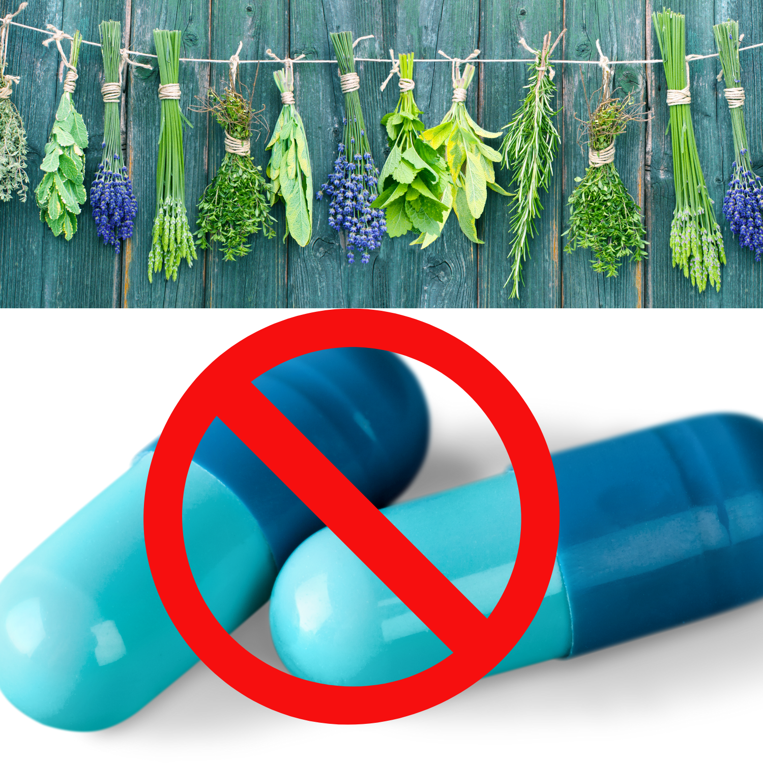 Drug Free Alternatives (Free Download)