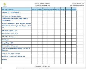 Accountability Self-Cell Care Checklist