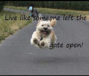 Live like someone left the gate open